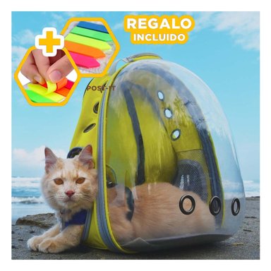 PACK4 MORRAL PORTA CAT EN AMARILLO Y+BANDERITAS ADHESIVAS