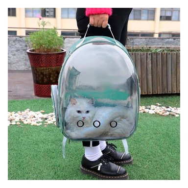 PACK2 MOCHILA DISEÑADA PARA GATOS EN VERDE Y+REGALO STICKERS