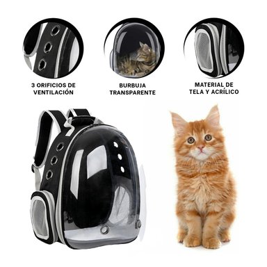 PACK2 MOCHILA DISEÑADA PARA GATOS EN NEGRO Y+REGALO STICKERS