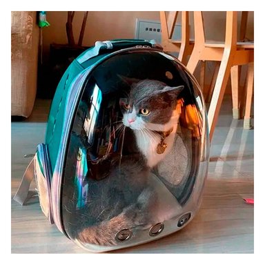 PACK2 MOCHILA ESPECIAL DE MININO EN VERDE Y+REGALO AGENDITA