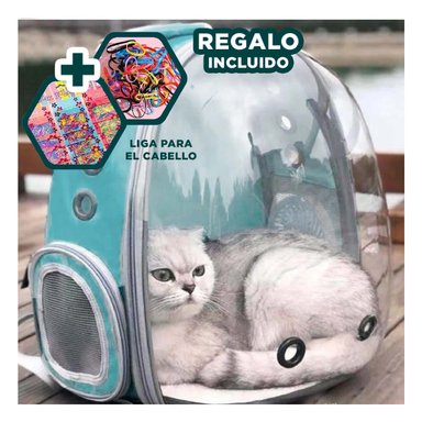 MORRAL TRANSPARENTE PARA CATS EN VERDE Y+LIGAS DE REGALO