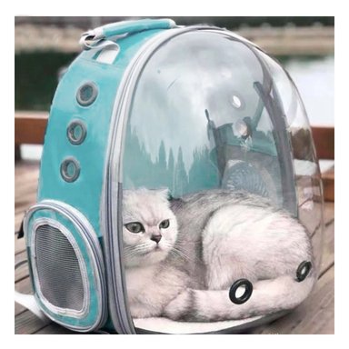 PACK2 BOLSO TRANSLUCIDO PARA CATS VERDE Y+LIGAS DE REGALO