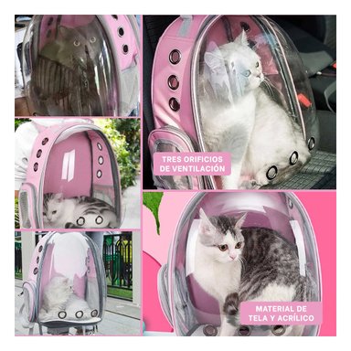 PACK4 BOLSO TRANSPARENTE PARA CAT EN ROSA Y+REGALO AGENDITA
