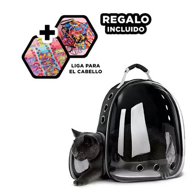 MORRAL TRANSPARENTE PARA CATS EN NEGRO Y+LIGAS DE REGALO
