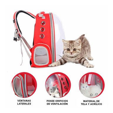 PACK2 MOCHILA DISEÑADA PARA GATOS EN ROJO Y+REGALO STICKERS