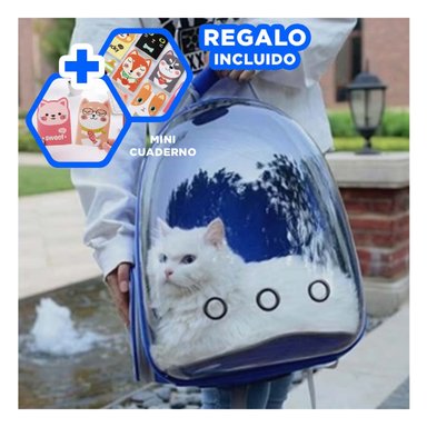 MOCHILA ESPECIAL PARA MININO EN AZUL Y+REGALO AGENDITA