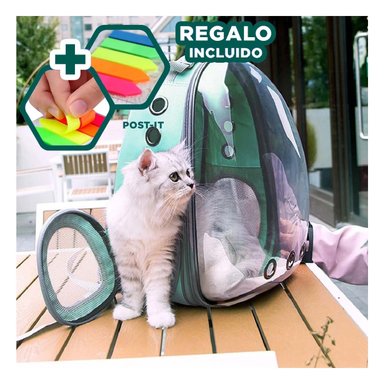 PACK4 MORRAL PORTA CAT EN VERDE Y+BANDERITAS ADHESIVAS