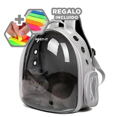 PACK4 MORRAL PORTA CAT EN PLOMO Y+BANDERITAS ADHESIVAS