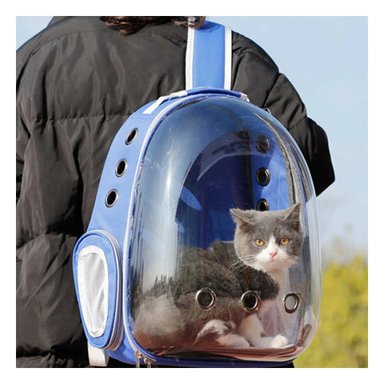 PACK2 MOCHILA ESPECIAL DE MININO EN AZUL Y+REGALO AGENDITA