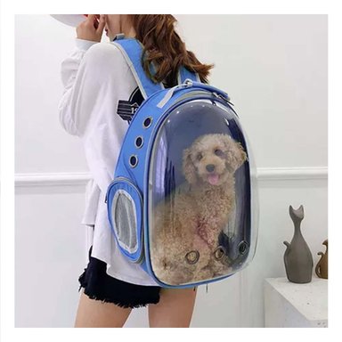 PACK2 BOLSO TRANSLUCIDO PARA CATS EN AZUL Y+LIGAS DE REGALO