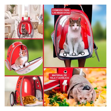 PACK4 BOLSO TRANSPARENTE PARA CAT EN ROJO Y+REGALO AGENDITA