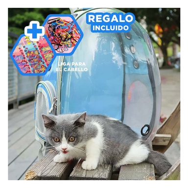 PACK4 MORRAL BURBUJA PARA CAT EN AZUL Y+LIGAS DE REGALO