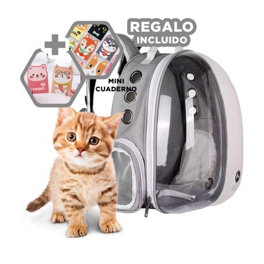 MOCHILA ESPECIAL PARA MININO EN PLOMO Y+REGALO AGENDITA