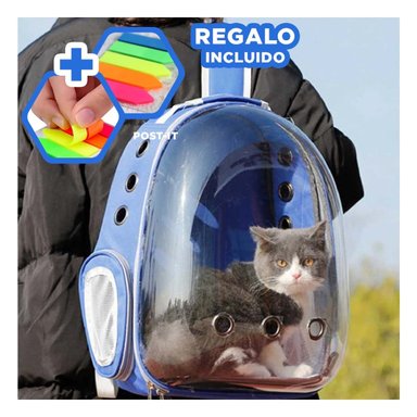 PACK4 MORRAL PORTA CAT EN AZUL Y+BANDERITAS ADHESIVAS
