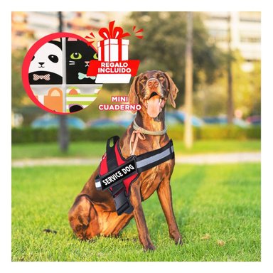 PACK12 CHALECO CON ENGANCHE EN ROJO Y+REGALO AGENDITA