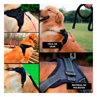 PACK6 ARNES PARA PET DE TALLA M EN NEGRO Y+REGALO AGENDITA
