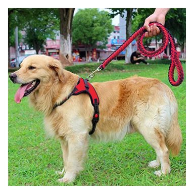 PACK4 CHALECO PARA PASEO EN ROJO Y+BANDERITAS ADHESIVAS