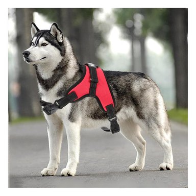 PACK6 CHALECO AJUSTABLE Y LIGERO EN ROJO Y+PAPEL DE REGALO