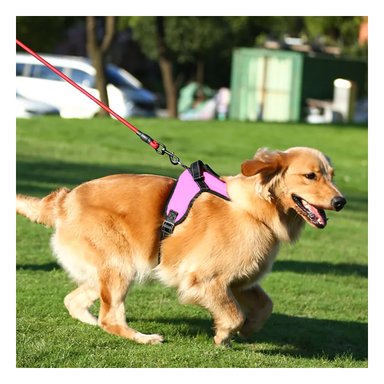 PACK4 PECHERA AJUSTABLE CON FORMA H EN MODELO ROSADO