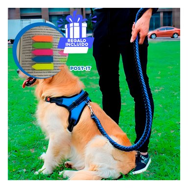 PACK12 PECHERA EN H Y TALLA M AZUL Y+BANDERITAS ADHESIVAS