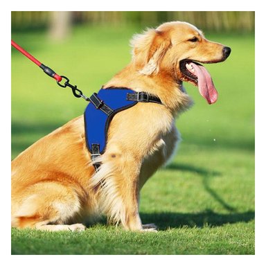 PACK6 ARNES PARA PET DE TALLA S EN AZUL Y+REGALO AGENDITA