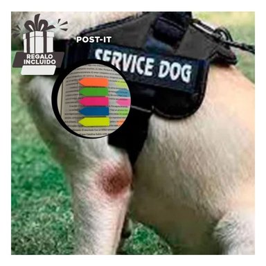 PACK12 CHALECO PARA PERROS EN NEGRO Y+BANDERITAS ADHESIVAS