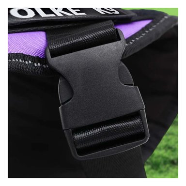 PACK2 ARNES FUNCIONAL EN MORADO Y+BANDERITAS ADHESIVAS