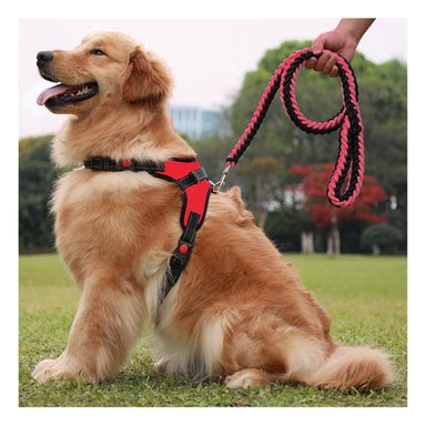 PACK4 PECHERA CON FORMA H Y TALLA S ROJO Y+REGALO AGENDITA