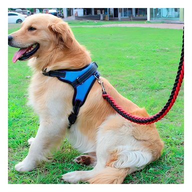 PACK12 ARNES EN FORMA DE H Y TALLA M EN COLOR AZUL