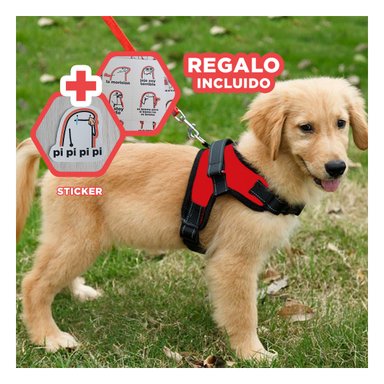 PACK12 PECHERA SEGURO PARA PERROS EN ROJO Y+REGALO STICKERS