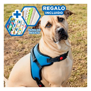 ARNES CON PECHERA AJUSTABLE EN H AZUL Y+PAPEL DE REGALO