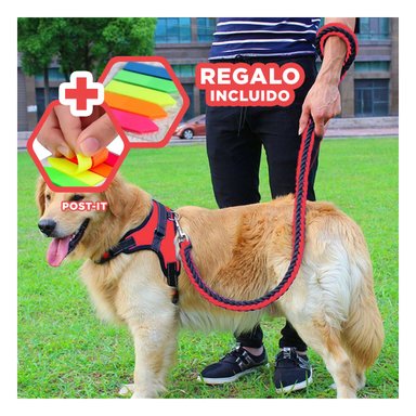 PACK12 PECHERA EN H Y TALLA S ROJO Y+BANDERITAS ADHESIVAS