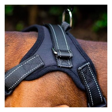 PACK2 ARNES CON PECHERA AJUSTABLE EN NEGRO Y+PAPEL DE REGALO