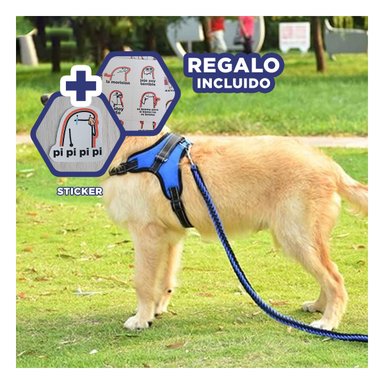 ARNES PARA PERROS TALLA S EN COLOR AZUL Y+REGALO STICKERS