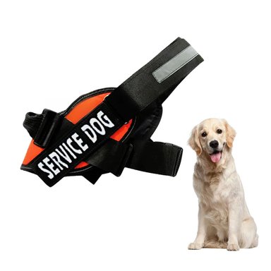 PACK2 ARNES AJUSTABLE EN COLOR ANARANJADO Y+PAPEL DE REGALO