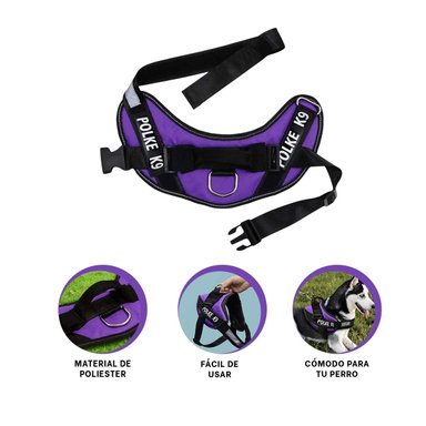 PACK4 CORREA PRACTICA EN COLOR MORADO Y+LIGAS DE REGALO