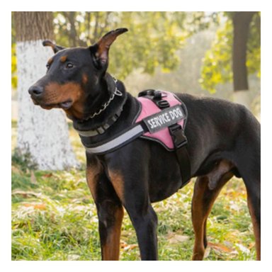 PACK4 CHALECO CON ENGANCHE EN TALLA M EN COLOR ROSADO