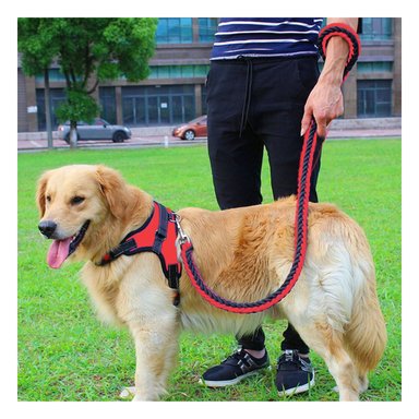 PACK4 CHALECO PECHERA DE TALLA S EN ROJO Y+LIGAS DE REGALO