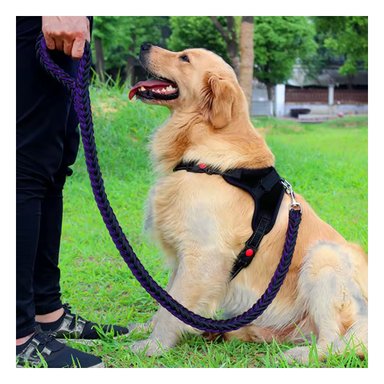 PACK4 PECHERA DE PET PARA PASEO EN S NEGRO Y+REGALO STICKERS