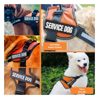 PACK4 CHALECO PARA PERROS EN ANARANJADO Y+REGALO AGENDITA