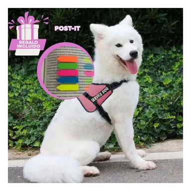 PACK12 CHALECO PARA PERROS EN ROSADO Y+BANDERITAS ADHESIVAS