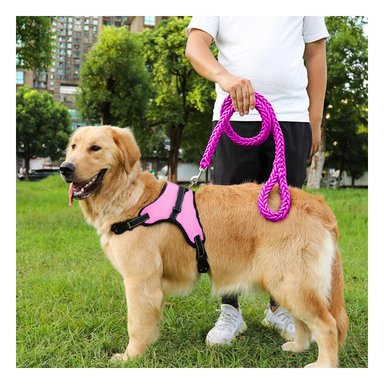 PACK4 CHALECO PECHERA DE TALLA S EN ROSADO Y+LIGAS DE REGALO