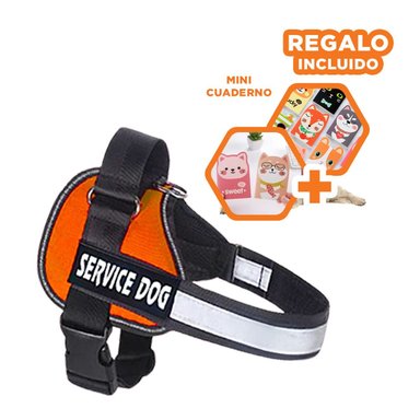 PACK6 ARNES PARA PERROS EN ANARANJADO Y+REGALO AGENDITA