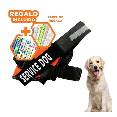 PACK6 CORREA SEGURO EN COLOR ANARANJADO Y+PAPEL DE REGALO