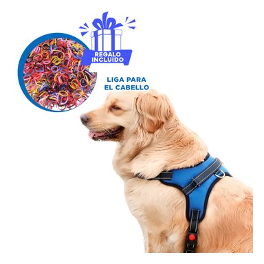 PACK12 PECHERA DE PET PARA PASEO EN M AZUL Y+LIGAS DE REGALO