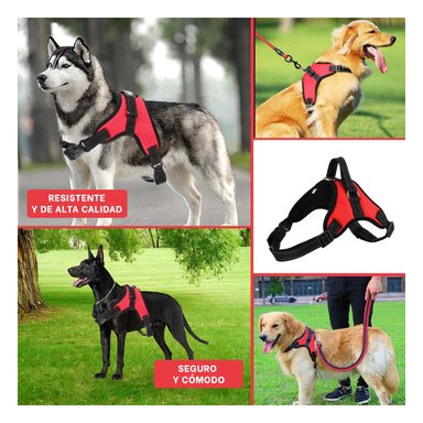 PACK6 ARNES PARA PERROS TALLA S EN ROJO Y+LIGAS DE REGALO