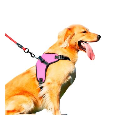 PACK6 ARNES PARA PET DE TALLA S EN ROSADO Y+REGALO AGENDITA - 2