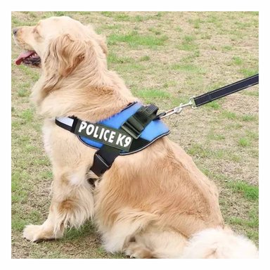 PACK4 CHALECO DE CONTROL SEGURO CELESTE Y+PAPEL DE REGALO