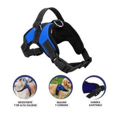 PACK2 ARNES DE FORMA H Y TALLA S AZUL Y+BANDERITAS ADHESIVAS