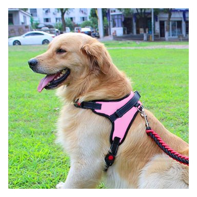 PACK4 PECHERA DE PET PARA PASEO EN S ROSA Y+REGALO STICKERS